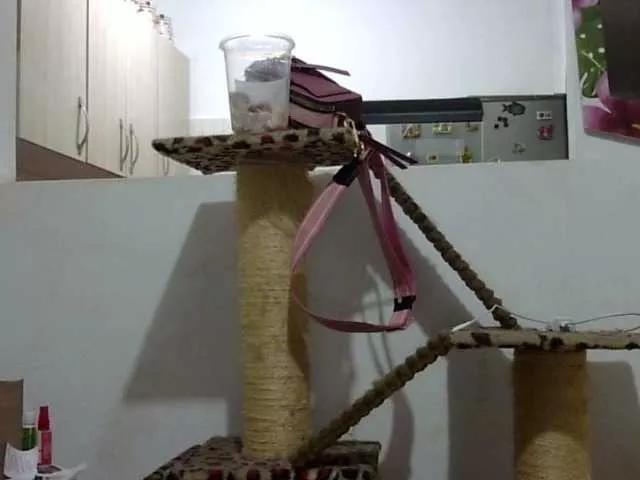 Offline ElizabethMart on BongaCams