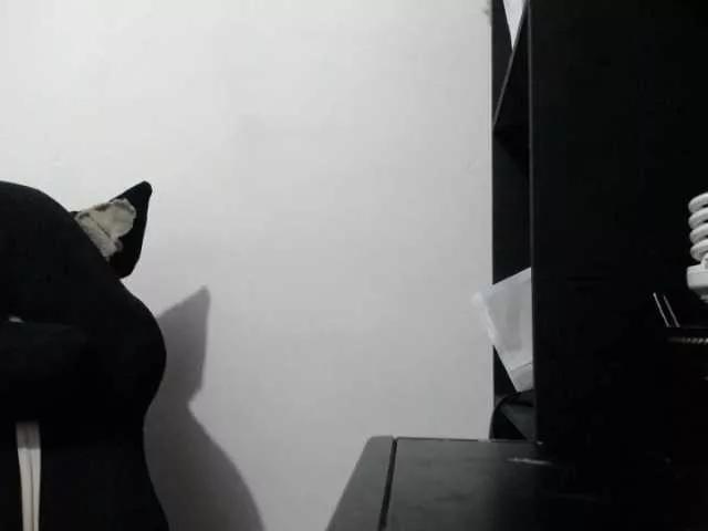 Offline melanyissabel on BongaCams