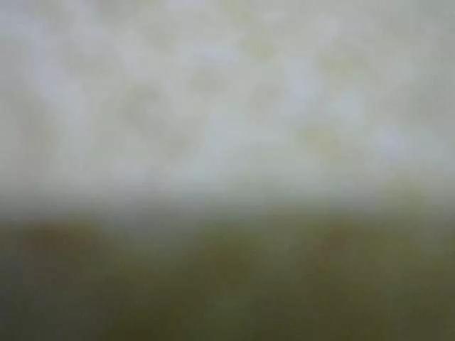 Queenfey from BongaCams