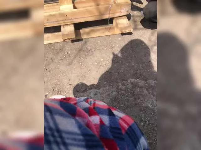 Offline selennandbrya on BongaCams