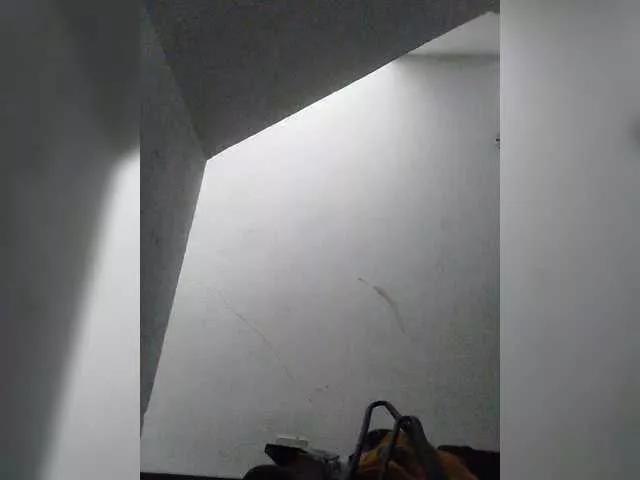 theplayful on BongaCams 
