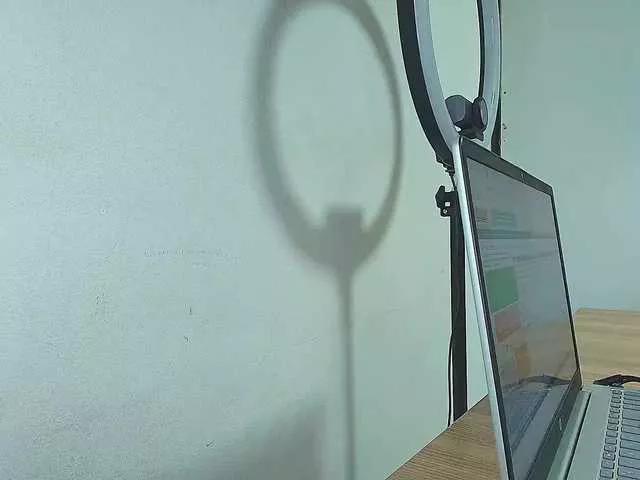 Offline Verapink on BongaCams