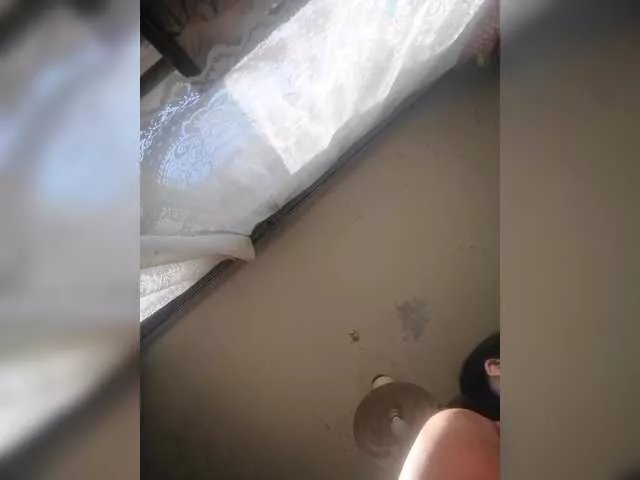 zvezda2511 on BongaCams 