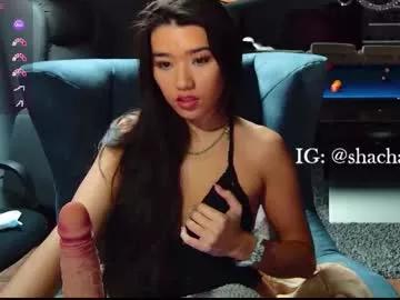 shachatte from Chaturbate