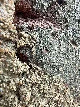 couplesexroom on StripChat