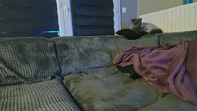 Girlysensuelle — 2 doigts cul