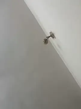 Snehameoww@xh — Drip honey on boobs and spank ass 5 time