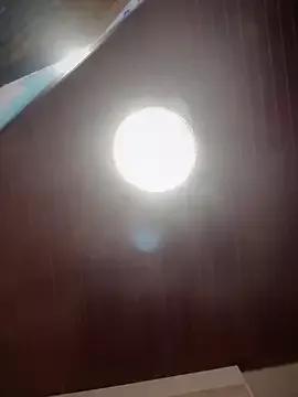 Hot Sofia_Collins- from StripChat Sofia_Collins- from StripChat